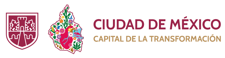 Logo DCMX